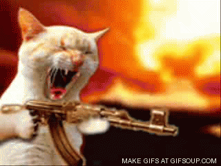 cat-shooting-a-machine-gun-o.gif